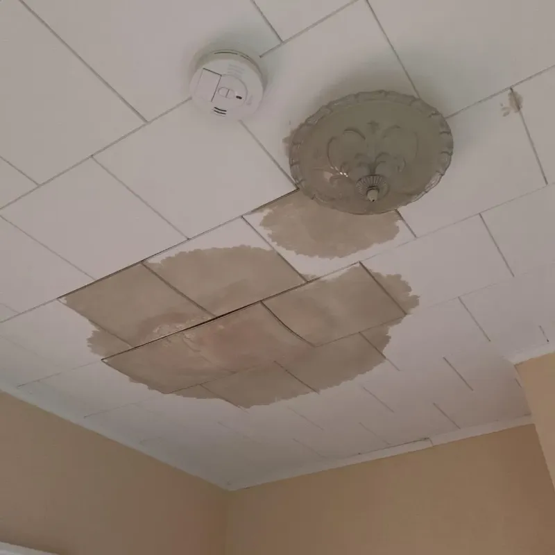 Ceiling Water Damage Repair in Boston, NY