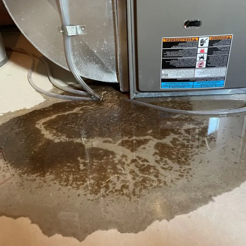 Pipe Burst and Leak Restoration in Boston, NY